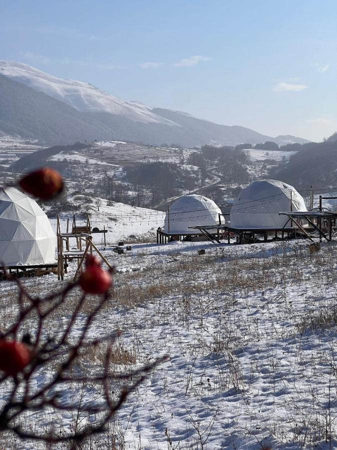 Shahumyan Glamping Park酒店 外观 照片